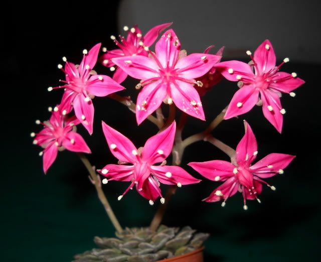 DSCN3076.jpg